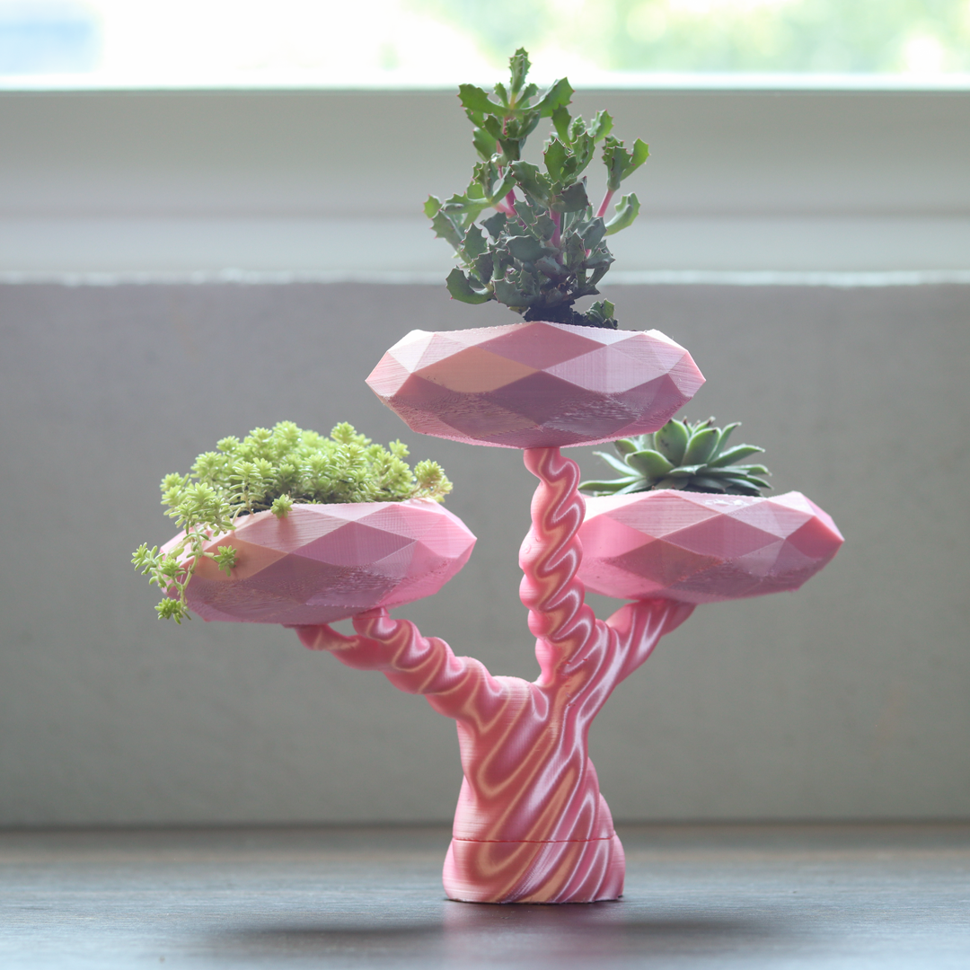 Tiny Bonsai