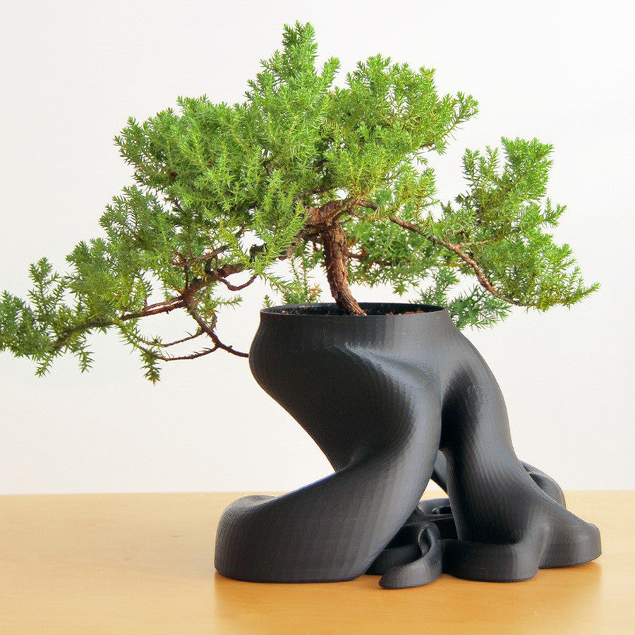 Bonsai Planter