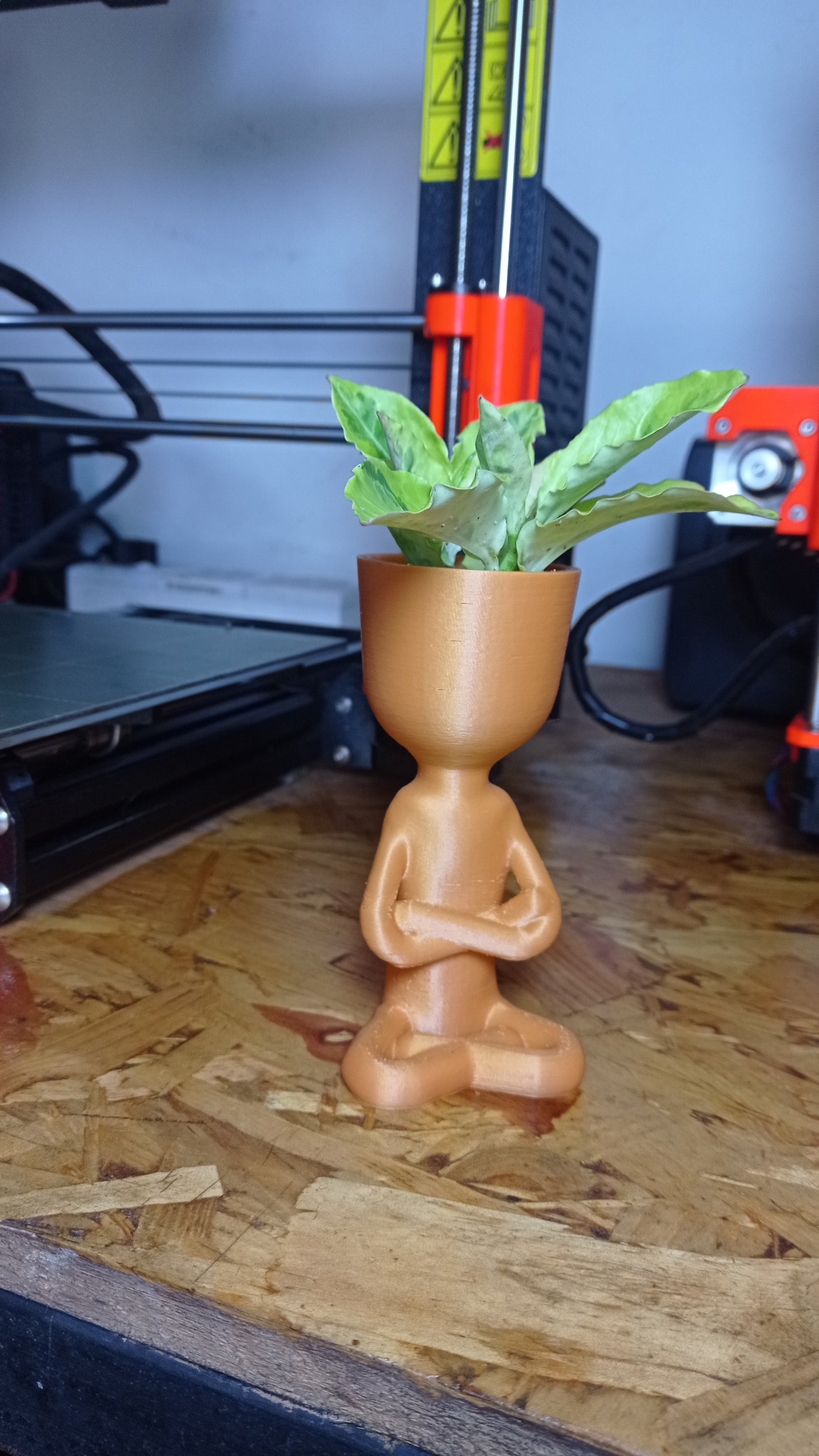 Sitting Man Bonsai