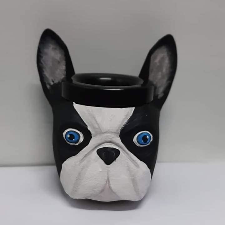 Mate French Bulldog